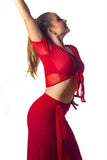 𝐒𝐦𝐚𝐥𝐥 𝗡𝗘𝗪 Red mesh tie top