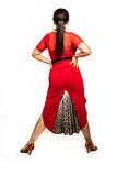 𝟐𝟔" 𝐖𝐚𝐢𝐬𝐭 Red Dani Skirt With Essence of Leopard